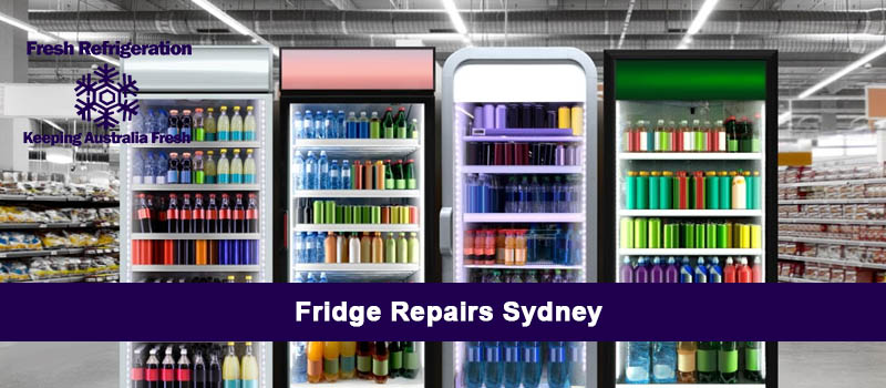 Fridge Repairs Sydney